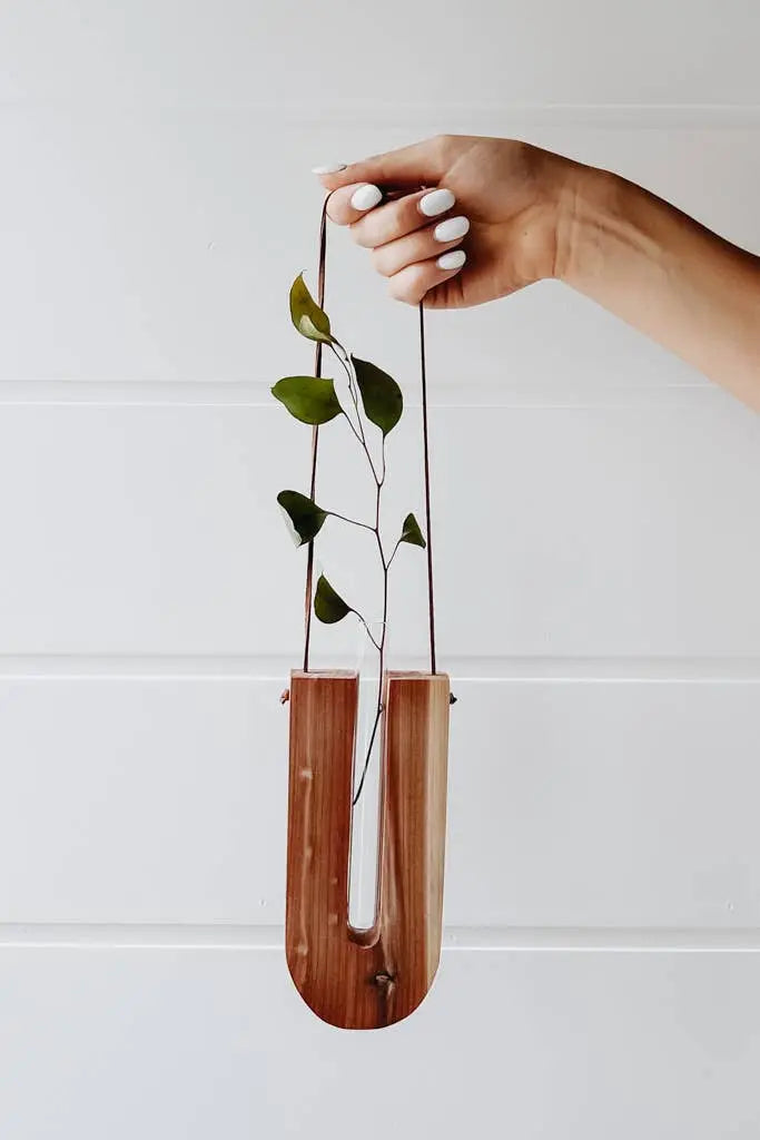 Blossom Hanging - Cedar The Rooted Soul Wellness Co.